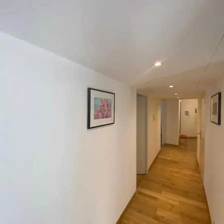 里维拉艾登宫殿酒店 2* 戛纳